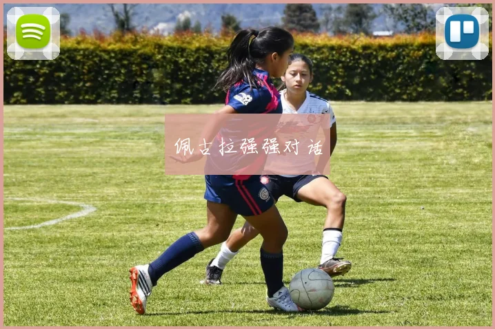 佩古拉强强对话