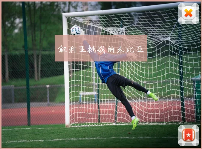 叙利亚挑战纳米比亚