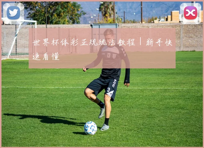 世界杯体彩正规玩法教程｜新手快速看懂