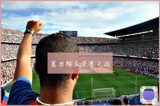 塞尔维亚荣誉之战