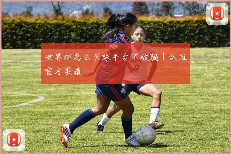 世界杯怎么买球平台不被骗｜认准官方渠道
