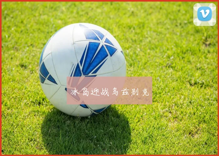 冰岛迎战乌兹别克